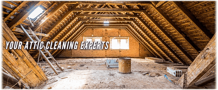 Attic Cleaning Kendall FL